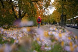 Budget-freundlicher Stadtführer für Riga