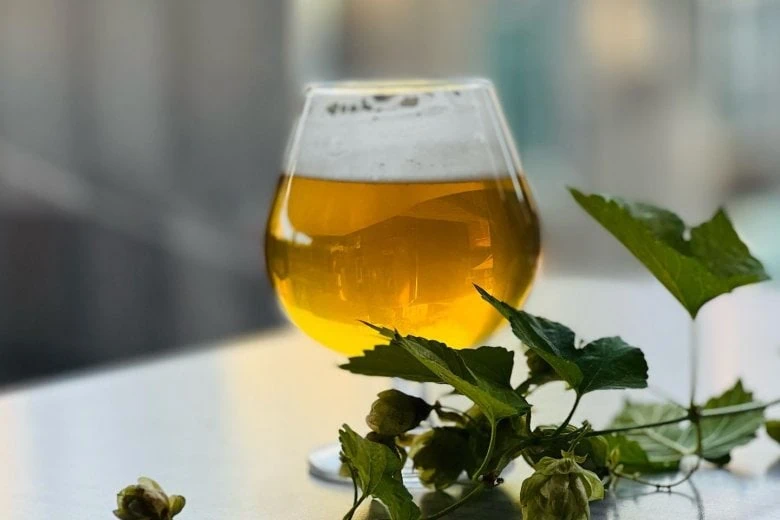 How much is a beer in Riga? A guide to Latvia's beer culture and prices - How much is a beer in Riga? A guide to Latvia's beer culture and prices