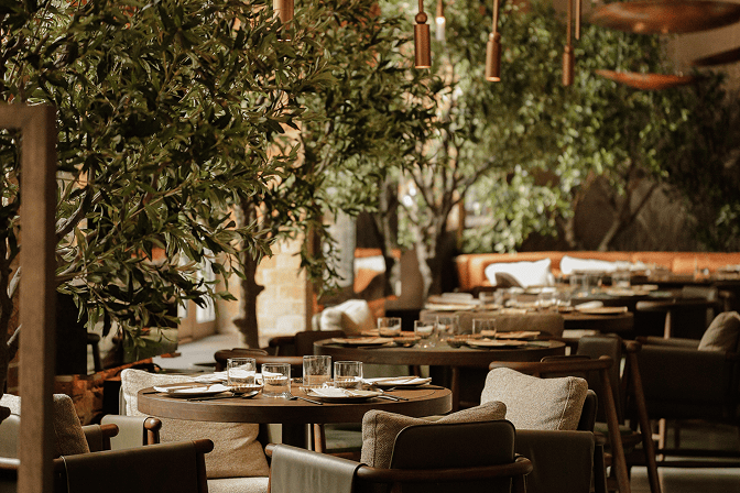 New spots in the city - Gongu