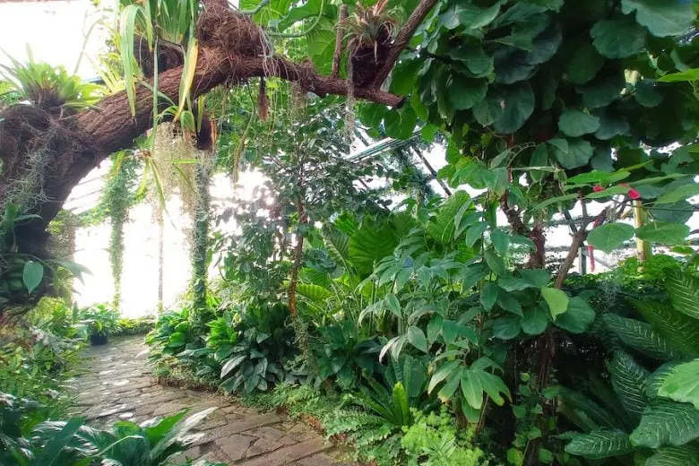 Für Familien und Kinder - Botanischer Garten der Universität Lettland