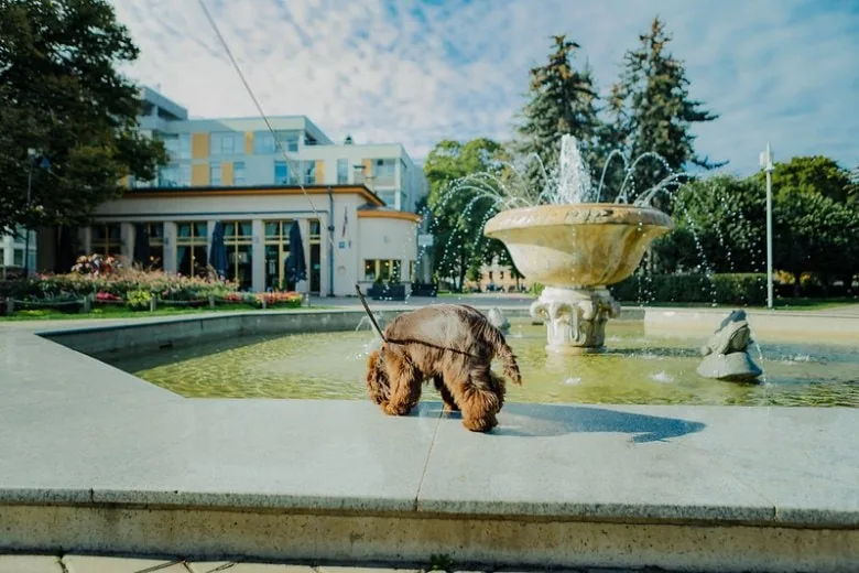 A guide to Riga for EuroBasket visitors - Unwind and Relax