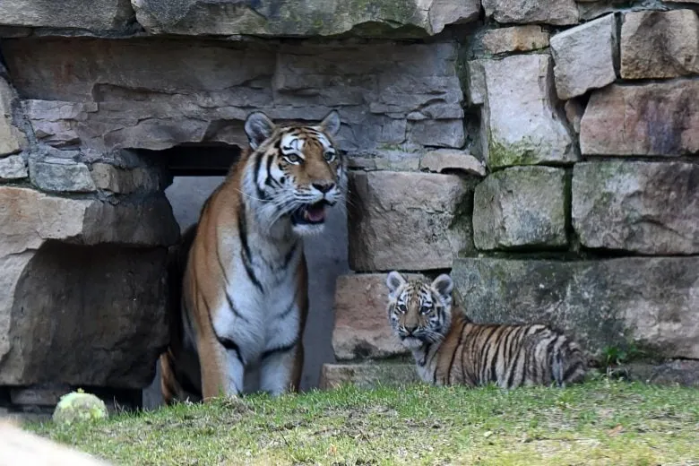Riga in Summer - Visit the Zoo!