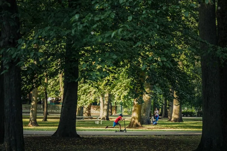 Rīgas vasara - Pikniks parkā