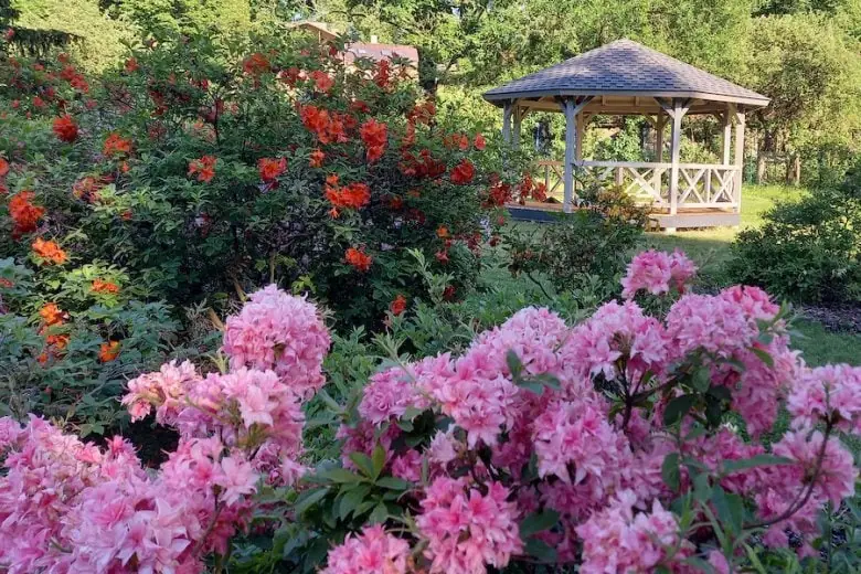 The Botanical Garden of the University of Latvia - The Botanical Garden of the University of Latvia