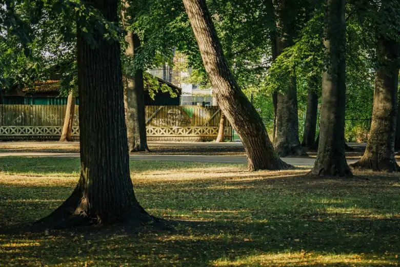 Viesturs-Garten - Viesturs-Garten