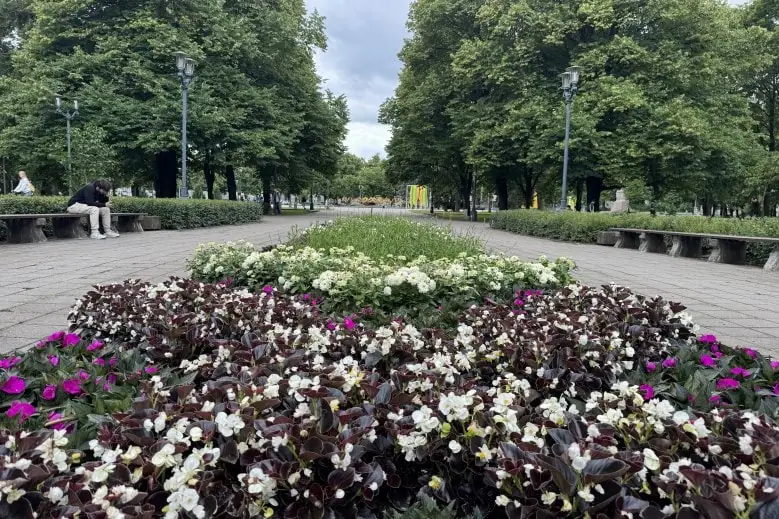 Rīgas dārzu un parku puķu dobes - Tautas deju dobe Esplanādes parkā 