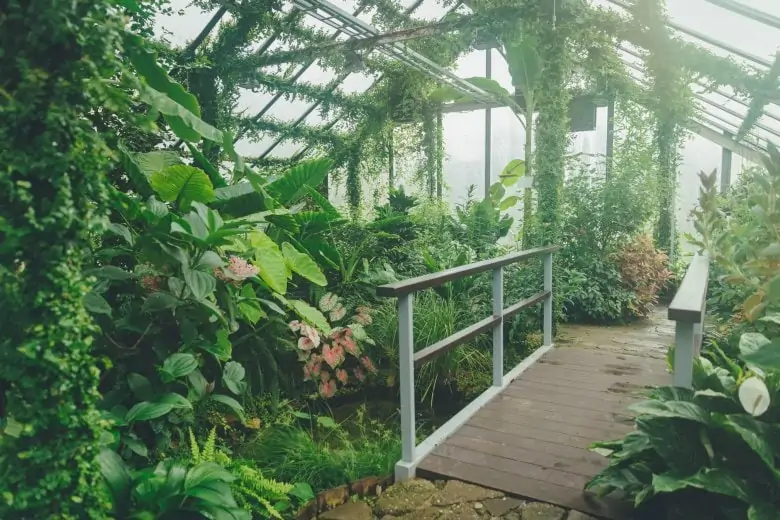 The most Insta-worthy spots in Riga - Botanical Garden
