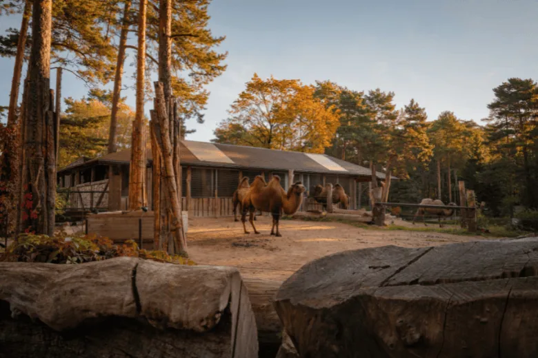 Riga Zoo