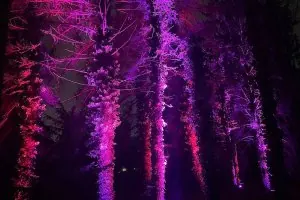 Light Festival in the Botanical Garden