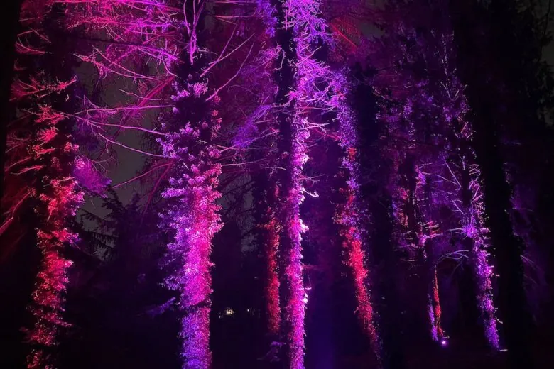 Light Festival in the Botanical Garden - Light Festival in the Botanical Garden