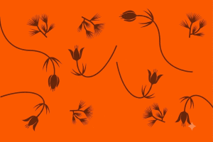 Late Evening at the Botanical Garden