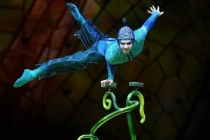 Cirque Du Soleil - OVO