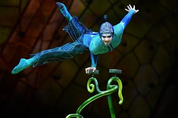 Cirque du Soleil – OVO - Cirque du Soleil – OVO