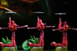 Cirque Du Soleil - OVO