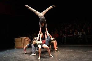 Zirkusshow "Gemeinsamer Grund"