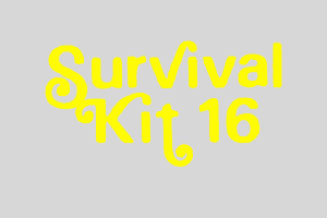 Contemporary Art Festival Survival Kit 16