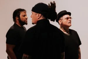 Concert by the rock band "P.O.D."