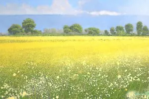 Ģirts Boronovskis solo show "Flatscreen Landscape"