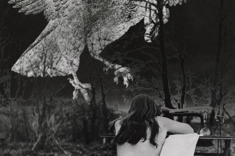Zenta Dzividzinska. Fragments no "Zemeņu lauks II", 1971. Sudraba želatīna kopija