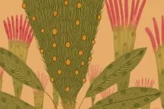 Illustrationsausstellung "Magischer Wald"