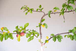 Exhibition "Collective Memory is Everything I Don’t Remember: Moments We Share"