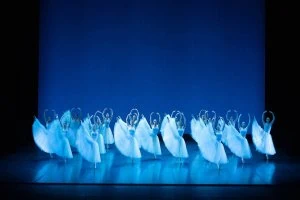 Ballet "Serenade. Carmina Burana"