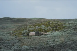 Contemporary art exhibition "Ghosts of Impossible Present"