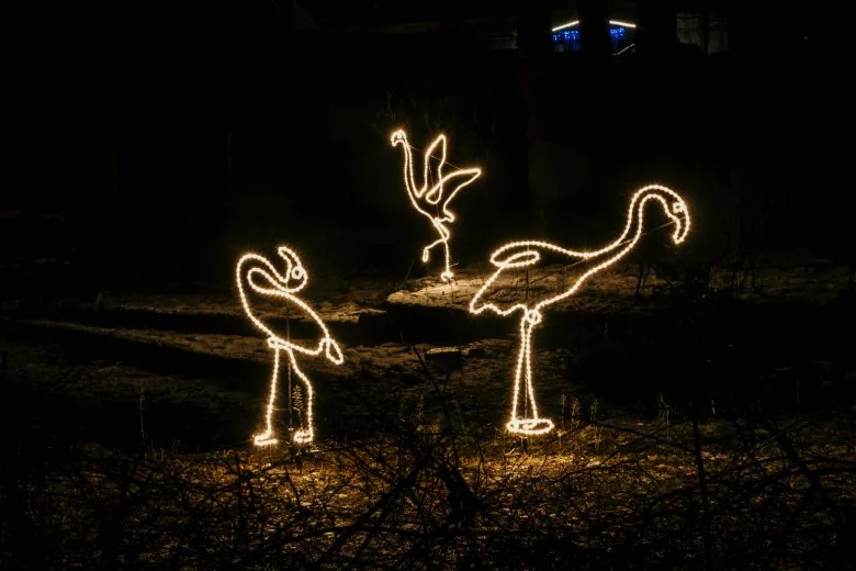 Winter Nights at Riga Zoo - Winter Nights at Riga Zoo