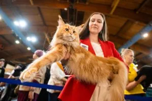 International Pet and Zoo-industry Exhibition ZooExpo 2025