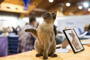 International Pet and Zoo-industry Show ZooExpo 2023