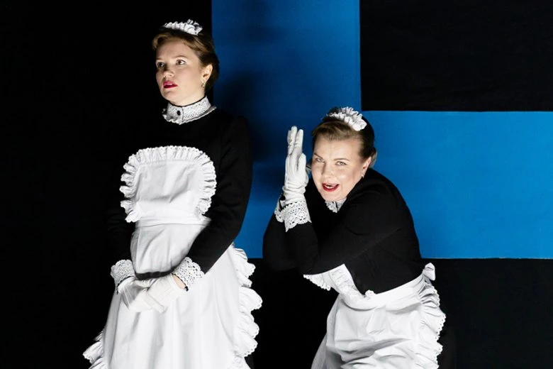 Performance Heart of a Dog - Performance Heart of a Dog