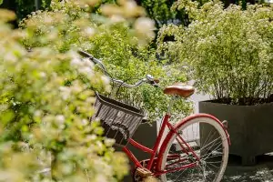 Riia jalgrattasõidu teejuht