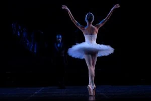 Ballet Swan Lake