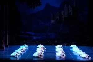 Ballet "Swan Lake"