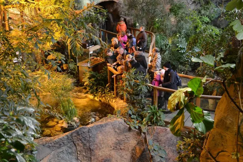 Tropical Month at Riga Zoo - Tropical Month at Riga Zoo