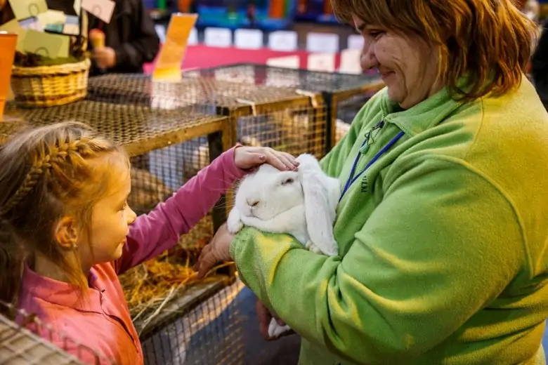 Jau rīt un parīt Ķīpsalā izstāde “PetExpo 2018”