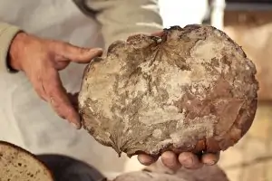 Kalnciema kvartāla tirgus